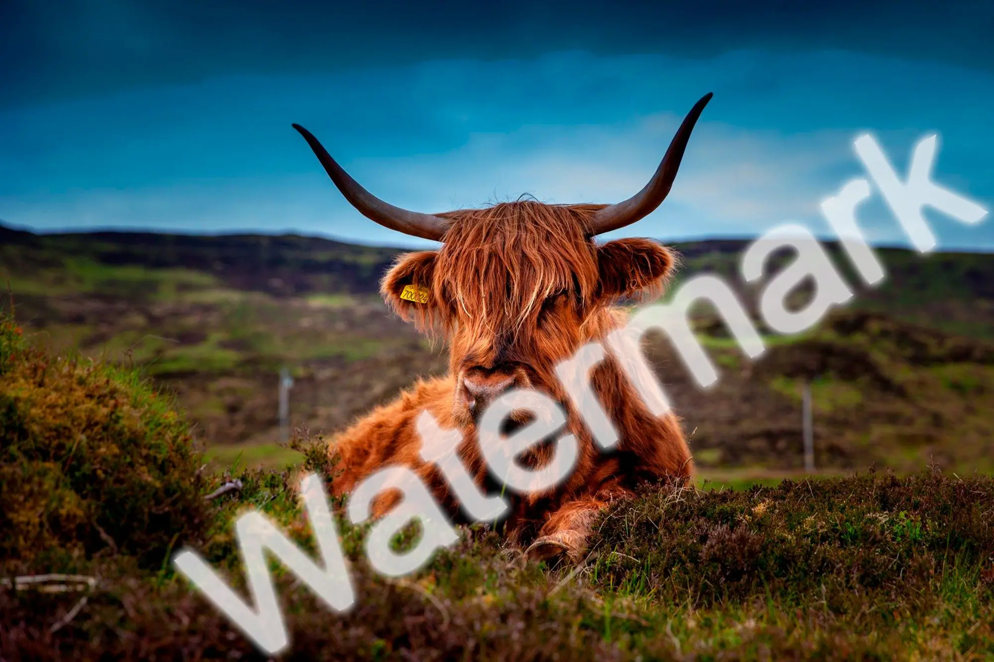 Vị trí watermark thủ công.